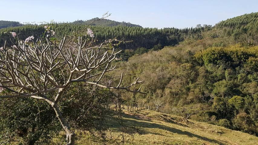 Sitio Alvorada - Paraiso Localizado No Circuito Das Aguas Paulista Ампаро Екстериор снимка